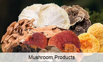 Mushroom Products