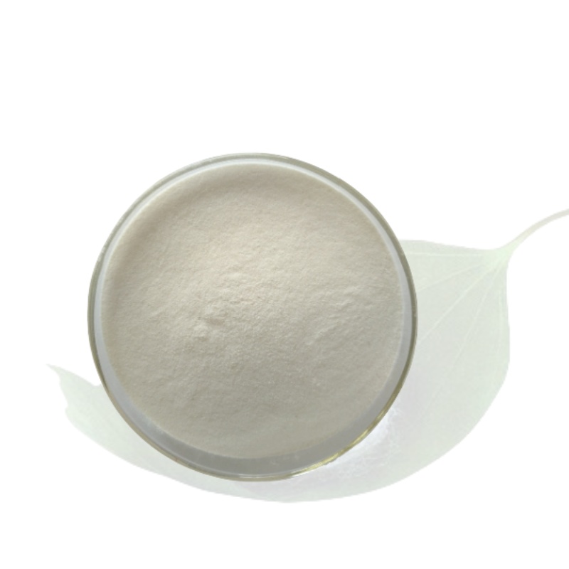 Silk Protein Powder