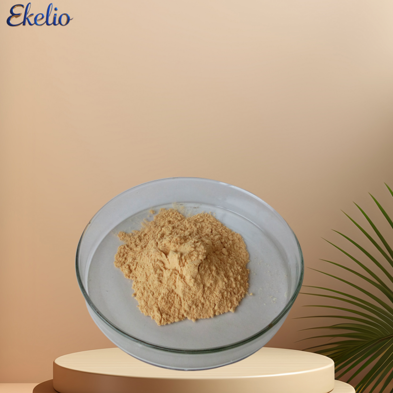Hemp Protein Powder 