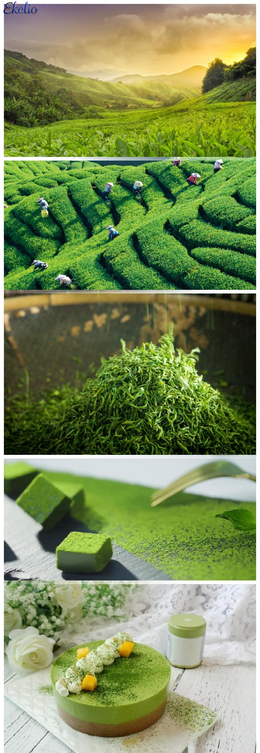 matcha tea 1.jpg