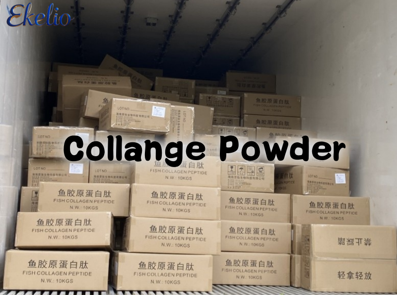 collange 5.png